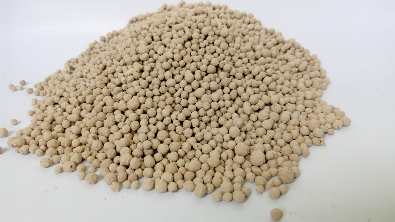 Granul Zeolite